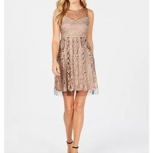 Taylor fit and flare pink dress